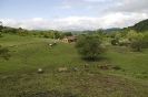 Riport - Verőce_6